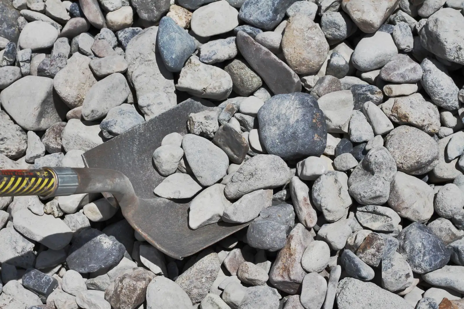 Decorative background image